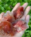 Carnelian Rough Stone, Raw Carnelian Crystal, Sacral Chakra Crystal Healing Stone for Reiki, Cabbing, Tumbling, Lapidary. 