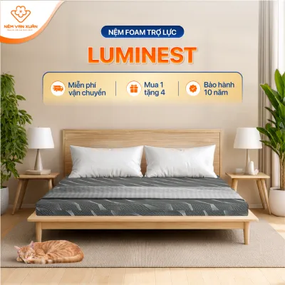 [HOẢ TỐC HCM] Nệm Foam Trợ Lực LumiNest Vạn Xuân Đệm Ngủ Êm Ái Đàn Hồi Tối Ưu Nâng Đỡ Chuyên Sâu Bảo Hành 10 Năm