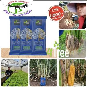 4Tree (โฟร์ทรี) 3 ซอง ใช้ได้ 40-60 ไร่ สารเสริมประสิทธิภาพ พืชโตเร็ว จากประเทศ อิสราเอล ของเเท้100% พร้อมส่งทุกวัน