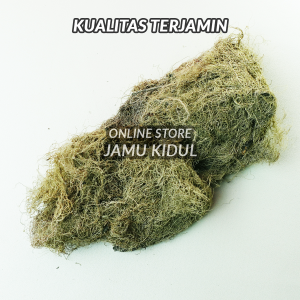 Kayu Angin 500 gr atau Akar Angin Kering Oven