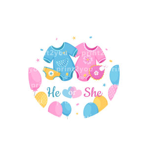 [100PCS] GENDER REVEAL BABY SHOWER STICKER