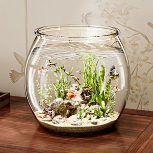 FOYOUR Nhựa Bát cá tròn Bát cá vàng Siêu rõ Bể cá để bàn Đa năng Trang trí Bể ngắm cá Trang trí để bàn