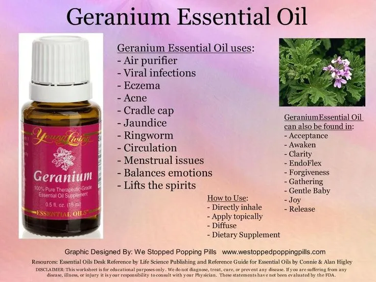 Young Living Geranium Essential Oil | Lazada Singapore
