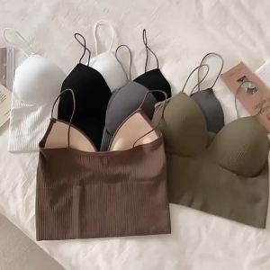 Ban tư vấn Chiến Dịch 2023 sĩ quan điều hành sĩ quan sĩ quan sĩ quan sĩ quan sĩ quan sĩ quan sĩ quan sĩ quan phục hồi