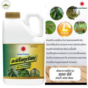 อะมิโนทุเรียน(แกลลอน 5 ลิตร) สำหรับทุเรียนโดยเฉพาะเข้มข้นสูง แอลอะมิโนแท้(1ลังมี4แกลลอน) ดวงตะวันเพชร #แอลเจอะโกร