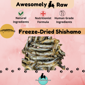 Freeze-dried Shishamo Capelin Pet Snack Pet Cat Treats 宠物零食 小鱼冻干 手工零食 手工宠物零食 天然零食 宠物冻干零食