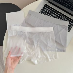 GOOTRADES 20D Mens Boxer Briefs Seamless Mesh Thin Transparent Brief Fashion Quick Dry Underwear for Men Men