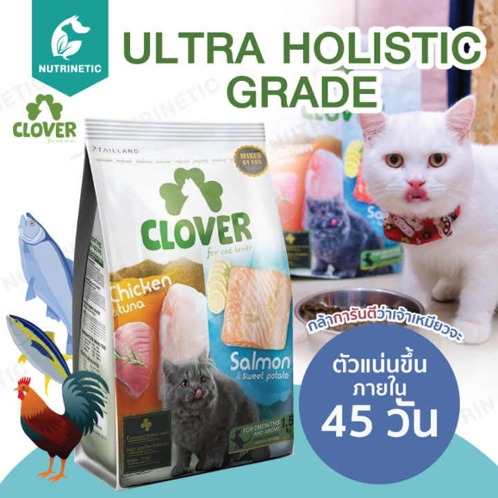 รีวิวเจาะลึก Clover Ultra Holistic อาหารแมวเพิ่มน้ำหนัก: ทางเลือกใหม่สำหรับน้องเหมียวผอม?