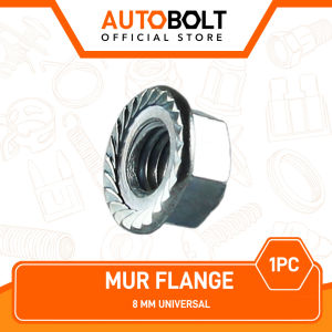 Mur Flange M8 8mm 8 mm Nut