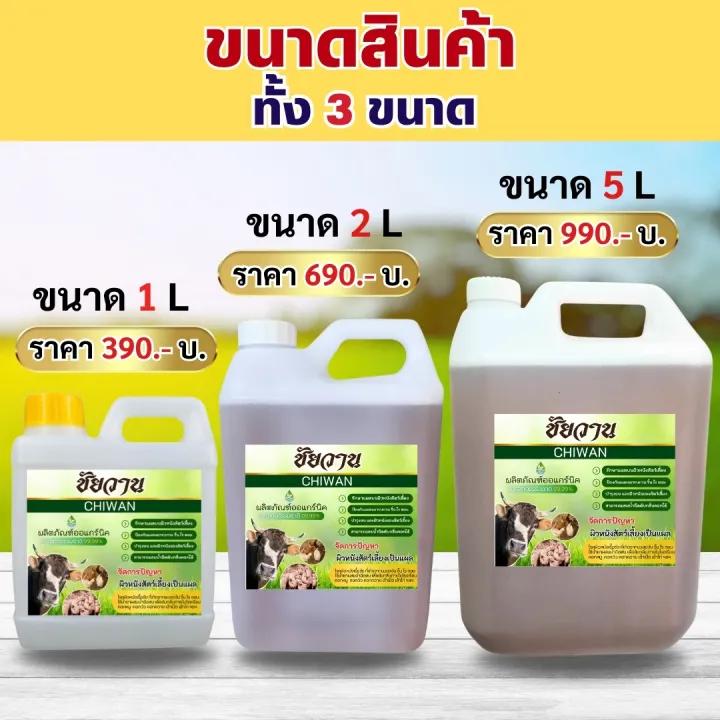 %E0%B8%A3%E0%B8%B5%E0%B8%A7%E0%B8%B4%E0%B8%A7%20%E0%B8%88%E0%B8%B2%E0%B8%81%E0%B8%9C%E0%B8%B9%E0%B9%89%E0%B9%83%E0%B8%8A%E0%B9%89%E0%B8%88%E0%B8%A3%E0%B8%B4%E0%B8%87%20%E0%B8%99%E0%B9%89%E0%B8%B3%E0%B8%A2%E0%B8%B2%E0%B9%84%E0%B8%A5%E0%B9%88%E0%B8%A2%E0%B8%B8%E0%B8%87%20%E0%B9%84%E0%B8%A5%E0%B9%88%E0%B9%81%E0%B8%A1%E0%B8%A5%E0%B8%87%20%E0%B8%81%E0%B8%B3%E0%B8%88%E0%B8%B1%E0%B8%94%E0%B9%80%E0%B8%AB%E0%B9%87%E0%B8%9A%20%E0%B8%AB%E0%B8%A1%E0%B8%B1%E0%B8%94%20%E0%B9%81%E0%B8%A1%E0%B8%A5%E0%B8%87%E0%B8%AB%E0%B8%A7%E0%B8%B5%E0%B9%88%20%E0%B8%A3%E0%B8%B4%E0%B9%89%E0%B8%99%20%E0%B9%84%E0%B8%A3%20%E0%B8%9C%E0%B8%A5%E0%B8%B4%E0%B8%95%E0%B8%88%E0%B8%B2%E0%B8%81%E0%B8%AA%E0%B8%B2%E0%B8%A3%E0%B8%AA%E0%B8%81%E0%B8%B1%E0%B8%94%E0%B8%98%E0%B8%A3%E0%B8%A3%E0%B8%A1%E0%B8%8A%E0%B8%B2%E0%B8%95%E0%B8%B4%20100%25%20%E2%AD%90%EF%B8%8F%E0%B9%81%E0%B8%96%E0%B8%A1%E0%B8%9F%E0%B8%A3%E0%B8%B5%E2%AD%90%EF%B8%8F%E0%B8%AB%E0%B8%B1%E0%B8%A7%E0%B8%89%E0%B8%B5%E0%B8%94%E0%B8%9F%E0%B9%87%E0%B8%AD%E0%B8%81%E0%B8%81%E0%B8%B5%E0%B9%89%201%20%E0%B8%8A%E0%B8%B4%E0%B9%89%E0%B8%99%20Chaiwan%20%E0%B8%8A%E0%B8%B1%E0%B8%A2%E0%B8%A7%E0%B8%B2%E0%B8%99%20%E0%B8%9B%E0%B9%89%E0%B8%AD%E0%B8%87%E0%B8%81%E0%B8%B1%E0%B8%99%E0%B8%A2%E0%B8%B8%E0%B8%87%20%E0%B8%9B%E0%B9%89%E0%B8%AD%E0%B8%87%E0%B8%81%E0%B8%B1%E0%B8%99%E0%B9%81%E0%B8%A1%E0%B8%A5%E0%B8%87%20%E0%B8%9B%E0%B9%89%E0%B8%AD%E0%B8%87%E0%B8%81%E0%B8%B1%E0%B8%99%E0%B9%80%E0%B8%AB%E0%B9%87%E0%B8%9A%E0%B8%AB%E0%B8%A1%E0%B8%B1%E0%B8%94%20-%20Image%202