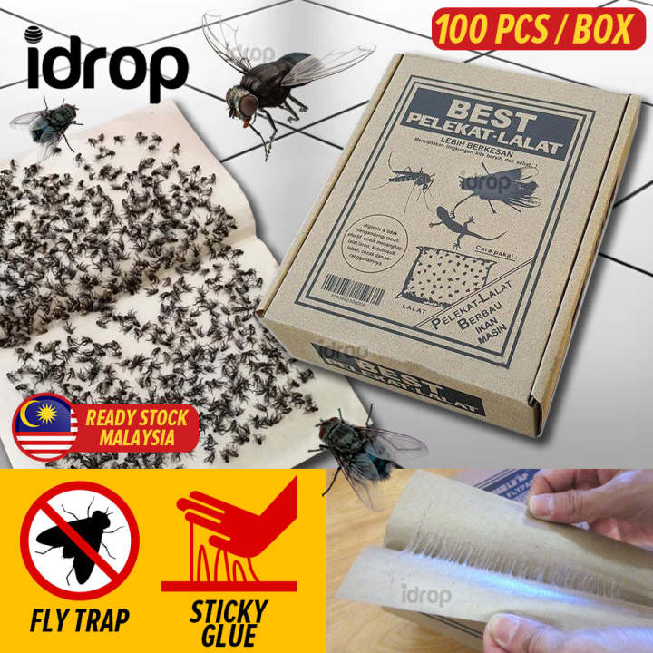 [Casa] [ 100PCS / BOX ] BEST Sticky Fly Trap / Perangkap Pelekat Lalat ...