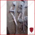 Tongkat Siku Elbow Serenity FS937L Alat Bantu Jalan Kruk Tangan Sikut Crutch Lengan. 