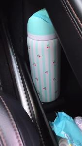 Owala Pillow Fight UO Collab FreeSip 24oz/32oz Stainless Water Bottle BPA Free Leak Proof Dual Sip