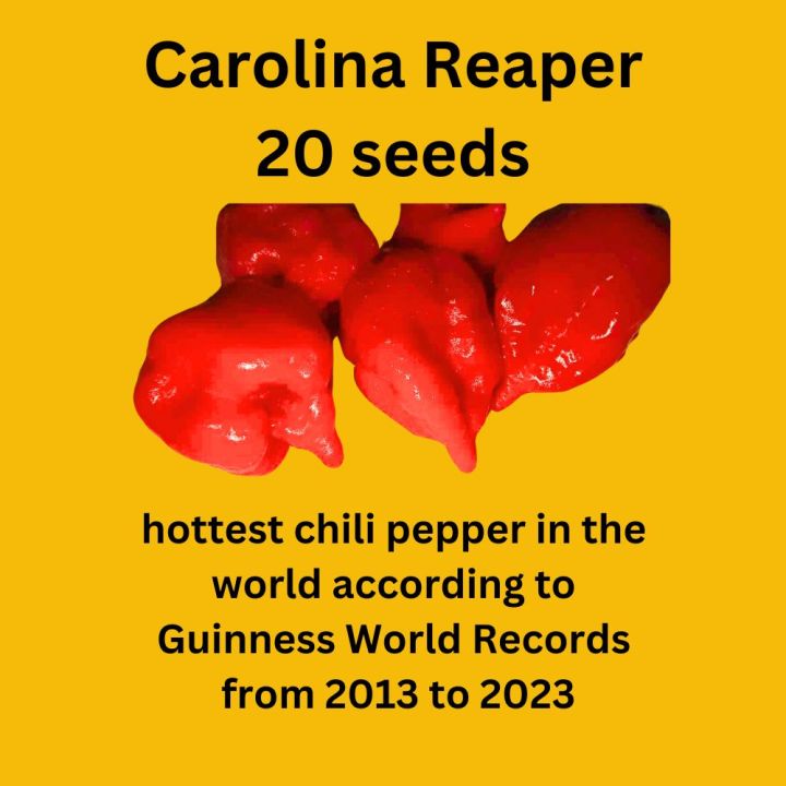 Carolina Reaper 20 seeds Superhot Chili Seeds | Lazada PH