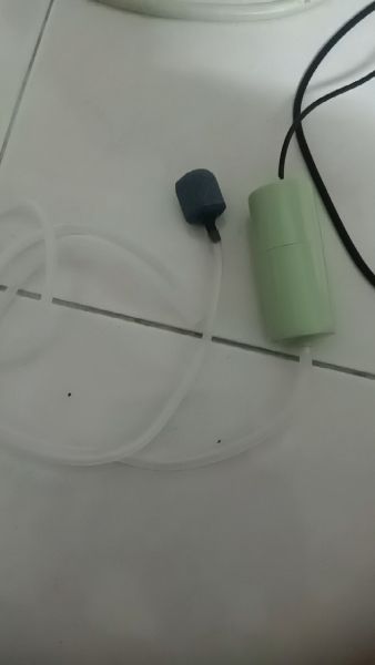 Buyer review video 2
