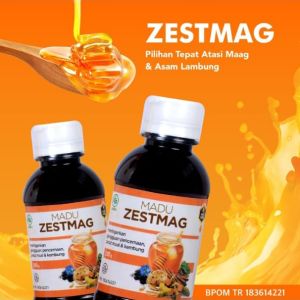 Madu Zestmag Original Obat Maag Kronis