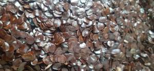 100gram hạt muồng đen giống
