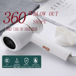 Negative Ion/White Hair Dryer Negative Ion Hair Dryer 2 Speed Temperature DC Hair Dryer