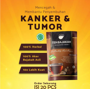 Siap Minum Teh Celup Kayu Bajakah Asli Kalimatan Kualitas Terbaik Herbal Akar Bajakah Kalimantan