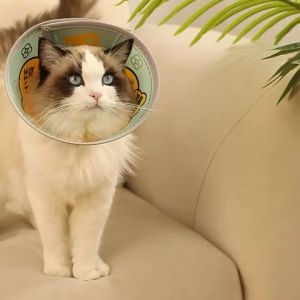 Pet Recovery Collar Chew-Resistant Use Scratch Protection for Cats for Dogs for Home Care and Daily Use Suitable for Storage Cleaning or Routine Setup pet collar for dogs collar pet collar