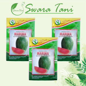 Marina Benih Semangka F1 20 Gram Non Biji Cap Benih Pertiwi