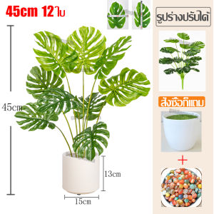 🔥ราคาถูกที่สุด🔥XYต้นไม้มงคลปลอม ฟรีกระถางดอกไม้ต้นไม้+หินตกแต่ง75/70CM18ใบ/15ใบ กระถาง สไตล์นอร์ดิก ในบ้าน ต้นไม้มงคล ต้นไม้ประดิษฐ์ ต้นไม้ปลอม ต้นไม้ปลอมตกแต่งบ้าน ต้นไม้ตกแต่งบ้าน ต้นไม้ปลอมสวยๆ ต้นไม้ปลอมใหญ่ ต้นไม้เทียม ต้นไม้แต่งห้อง