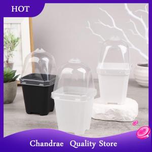 [Chandrae] 5Pcs Square Small Flower Pot with Humidity Dome Seedlings Planting Pots