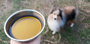 น้ำมันปลาแซลมอน สำหรับสัตว์เลี้ยง - Young Zero บำรุงขน สูง 100ml