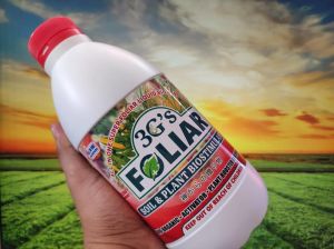 3G’s Foliar Fertilizer – High Yield Organic Growth Plant Booster for Vegetables  Fruits  Ornamentals  Food