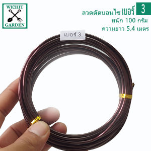 ลวดดัดบอนไซ สีน้ำตาล น้ำหนัก 100 กรัม มีหลายขนาดให้เลือก เหมาะสำหรับผู้เริ่มต้นทำบอนไซ