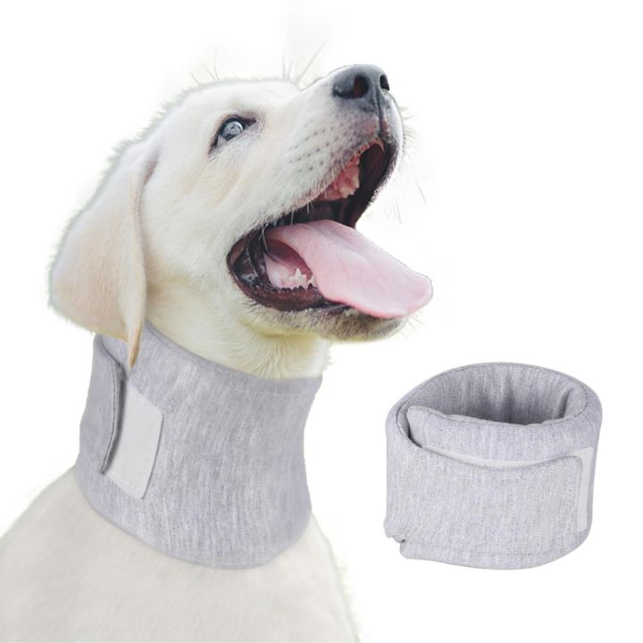 Dog Neck Brace Elizabethan Collar for Pet Recovery After Surgery ...