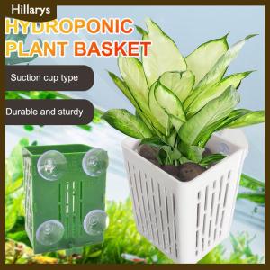 [Hillarys] Hanging Suction Cup Hook Aquarium Plant Holder Plastic Aquarium Planter Cups Planter Baskets Aquatic Pot Box Aquascape Decoration
