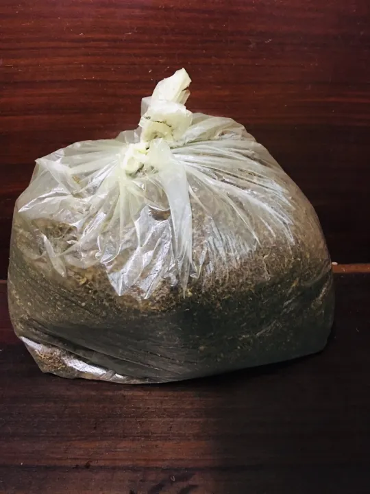 เศษยาฉุนแบบผง 1kg สำหรับทำน้ำหมักไล่แมลง กำจัดเพลี้ยหนอน