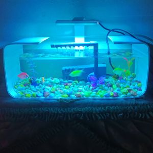10 Mata Lampu Akuarium Lampu LED Soliter Cupang Lampu LED Mini Aquarium Lampu Akuarium Lampu Hias Aquarium
