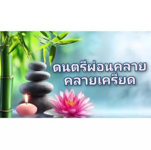 แฟลชไดร์ฟ USB เพลงบรรเลง เปียโน เสียงน้ำไหลธรรมชาติ ช่วยผ่อนคลาย จิตใจผ่องใส อารมณ์ดี