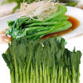 เมล็ดพันธุ์ กวางตุ้งดอก Green Choy Sum Seed Chinese Flowering Cabbage Organic Vegetable Seeds for Planting เมล็ดพันธุ์ผักกาดกวางตุ้ง ดอกช่อขจร เมล็ดพันธุ์แท้ OP เมล็ดพันธุ์ผัก ผักสวนครัว ผักออร์แกนิก พันธุ์ผัก เมล็ดผัก ปลูกได้ตลอดปี (600 เมล็ด/ซอง). 