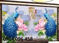 Mẫu tranh gạch 3d ốp tường phòng khách - DCNNM65. 