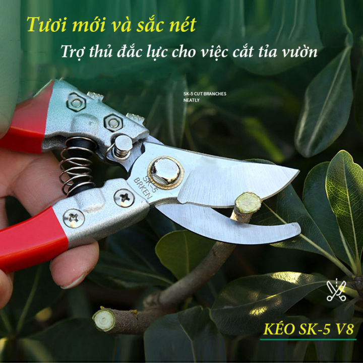 B%E1%BB%99%202%20k%C3%A9o%20c%E1%BA%AFt%20t%E1%BB%89a%20c%C3%A0nh%20c%C3%A2y%20hoa%20l%C3%A1%20SK5%20v%C3%A0%20c%E1%BA%AFt%20t%E1%BB%89a%20rau%20c%E1%BB%A7%20qu%E1%BA%A3%20SAGAWATA%20%C4%91a%20n%C4%83ng%20ti%E1%BB%87n%20d%E1%BB%A5ng%20-%20Image%206