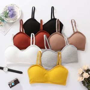 BEE - Bra Bh Wanita Sport Bra Tanpa Kawat Push Up Dengan Busa Tebal Premium Quality TM 399