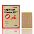 8 Pcs Pain Relieve Patch Chinese Medical Capsicum Plaster for Joints Porous Chilli Patch. 