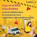 Mini Solar Panel LSP รุ่น 200W แผงโซล่าเซลล์ MONO Lumira. 