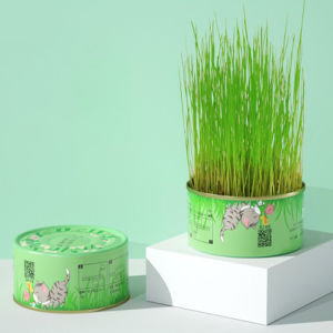 Canned Cat Grass Kit Pet Grass Hydroponic Plant Accelerate Hair Removal Ball Pet Supplies