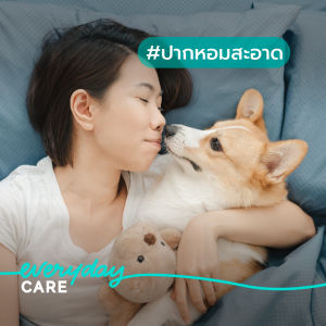 Virbac ยาสีฟัน ซีอีที รสไก่ [C.E.T.® Enzymatic Toothpaste - Poultry - 70 g] สําหรับสุนัขและแมว ป้องกันการสะสมของคราบหินปูน