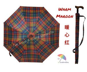 2 as 1 Multifunctional Separable Umbrella Cane Stick - Silver UV