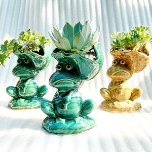 Chậu men - Chú ếch vác lá sen miệng chậu 11cm chiều cao 21cm