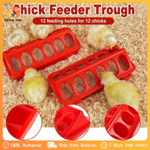 3PCS Chicken Feeder Pigeon Bird Feeder Double-sided 20cm 12 Holes Plastic Poultry Quails Ducklings Feeder Trough Flip Top Poultry Feeding Box