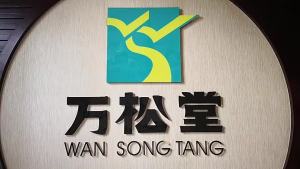 Slimming Diet Tea Burn Fat Tea Detox Lemon&Ginger Natural Weight Loss Daytime Bedtime Tea