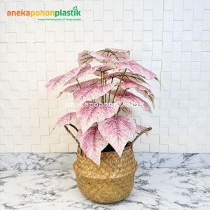 Pohon Artificial Tanaman Hias Daun Calladium Pink Full X18 Semilatex Artificial Cover Purun Belly Hiasan Ruangan Aesthetic