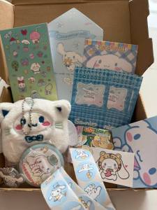 Buy 1 Take 12 Ultimate Cinnamoroll Gift Box Sanrio Super Pack 11 Unique Treasures Dolls& More