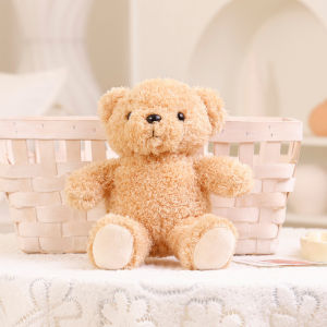 VMQ Cute Car Teddy Bear Plush Dolls BMW Audi Ford Landrover Lexus Buick Logo Sweater Bears Stuffed Toys For Kids MV